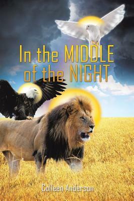 In the Middle of the Night by Colleen Anderson