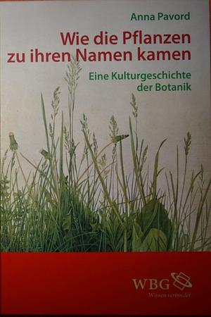 Wie die Pflanzen zu ihren Namen kamen Eine Kulturgeschichte der Botanik by Anna Pavord