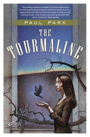 The Tourmaline by Paul Park