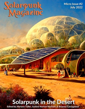 Solarpunk in the Desert by Abriana Tuller, Brianna Castagnozzi, Justine Norton-Kertson