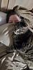 quelynn_doge's profile picture