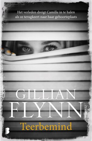 TEERBEMIND by Gillian Flynn