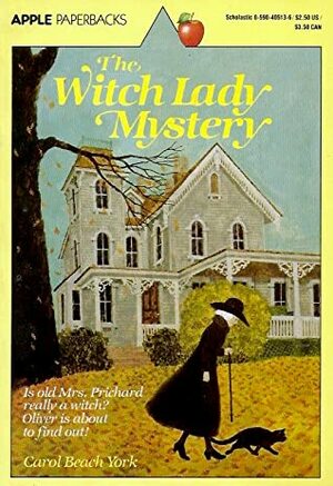 The Witch Lady Mystery by Ethel Gold, Carol Beach York
