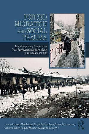 Forced Migration and Social Trauma: Interdisciplinary Perspectives from Psychoanalysis, Psychology, Sociology and Politics by Biljana Stanković, Camellia Hancheva, Saime Ozcurumez, Andreas Hamburger, Slavica Tutnjević, Carmen Scher