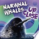 Narwhal Whale Up Close by Jody Sullivan Rake