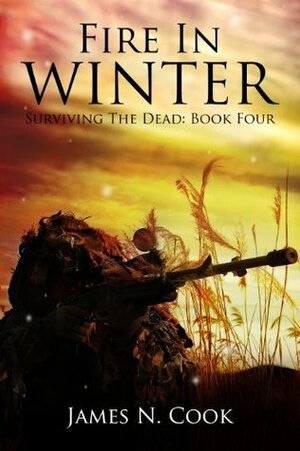 Fire in Winter by James N. Cook