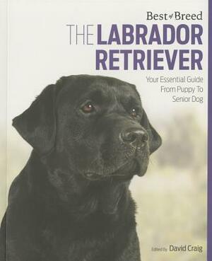 The Labrador: Your Essential Guide from Puppy to Senior Dog by David Craig