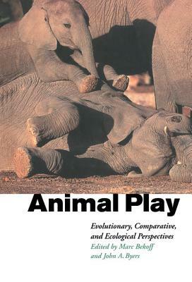 Animal Play by 