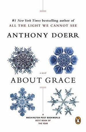 Noget om Grace by Anthony Doerr