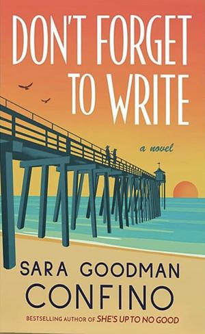 Don't Forget to Write by Sara Goodman Confino