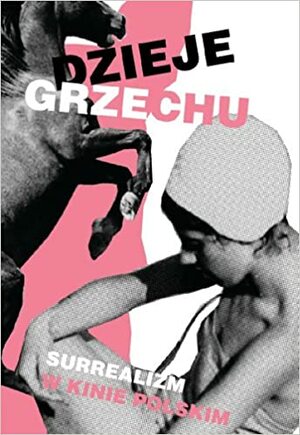 A Story of Sin: Surrealism in Polish Cinema by Kamila Wielebska, Kuba Mikurda