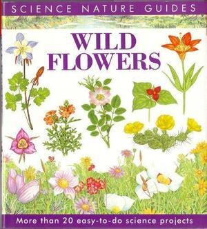 Wild Flowers of North America by Pamela Forey