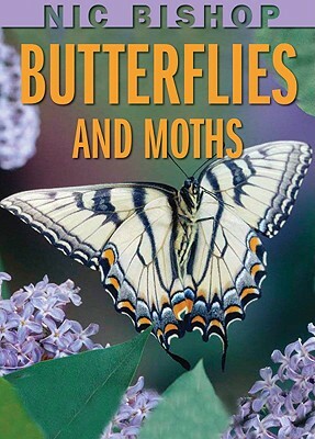 Nic Bishop: Butterflies and Moths by Nic Bishop