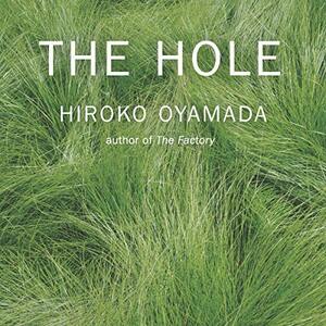 The Hole by Hiroko Oyamada