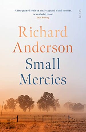 Small Mercies by Richard Anderson