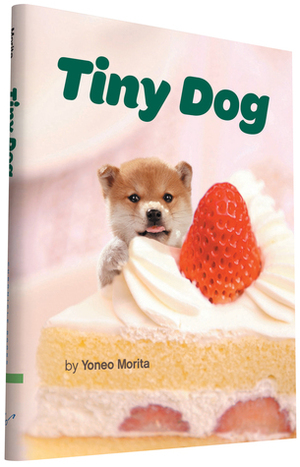 Tiny Dog by Yoneo Morita