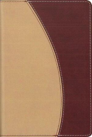 Holy Bible: NIV Compact Thinline Bible by Anonymous