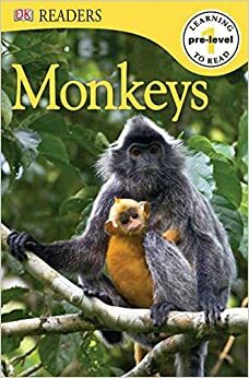 Monkeys by Deborah Lock