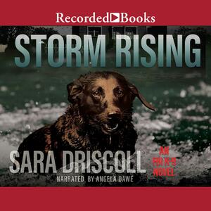 Storm Rising by Sara Driscoll