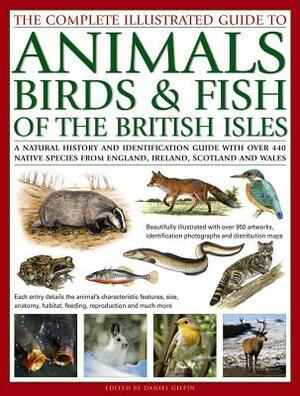 The Complete Illustrated Guide to Animals, Birds & Fish of the British Isles: A Natural History and Identification Guide with Over 440 Native Species by Daniel Gilpin