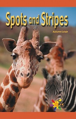 Spots & Stripes by Autumn Leigh