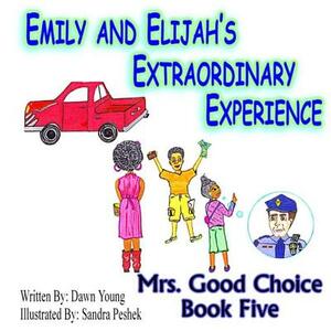 Emily and Elijah's Extraordinary Experience by Dawn Young