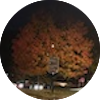 s_kasko's profile picture
