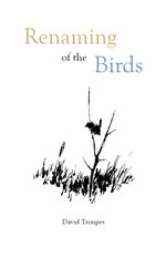 Renaming of the Birds by David Troupes