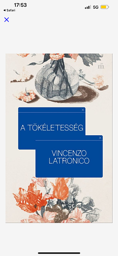 A tökéletesség by Anna Todero, Vincenzo Latronico