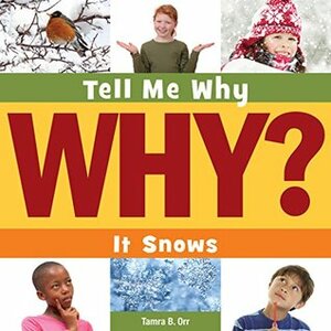 It Snows by Tamra B. Orr