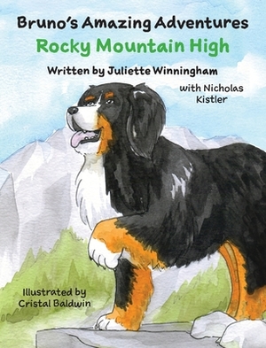 Rocky Mountain High by Juliette Winningham