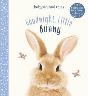 Goodnight, Little Bunny by Amanda Wood
