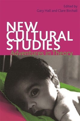 New Cultural Studies: Adventures in Theory by Gary Hall, Clare Birchall