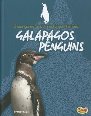 Galapagos Penguins by Molly Kolpin