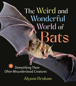 The Weird and Wonderful World of Bats by Alyson Brokaw