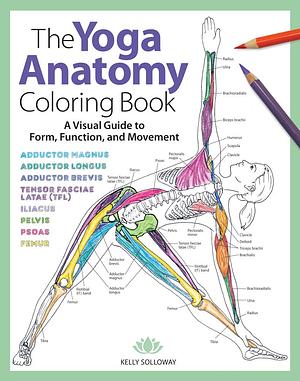 Yoga Anatomy Coloring Book: A Visual Guide to Form, Function, and Movement - An Educational Anatomy Coloring Book for Medical Students, Yoga ... by Kelly Solloway, Kelly Solloway, Samantha Stutzman