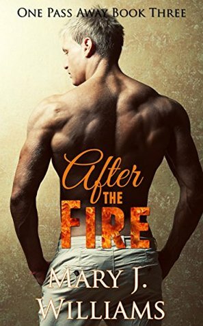 After the Fire by Mary J. Williams