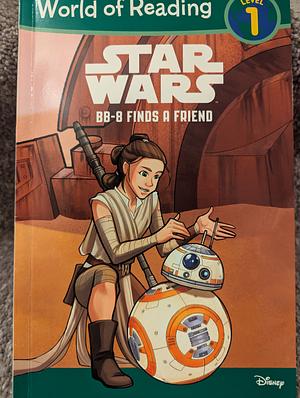 Star Wars BB-8 Finds a Friend by Nate Millici