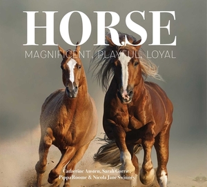 Horse: Magnificent, Playful, Loyal by Catherine Austen, Pippa Roome, Sarah Gorrie