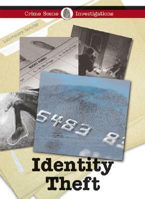 Identity Theft by Gail B. Stewart