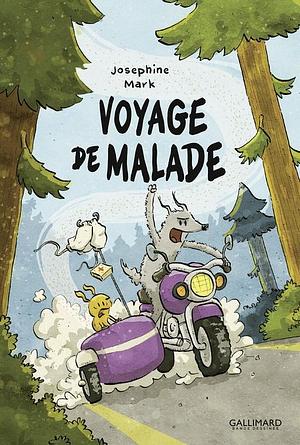 Voyage de malade by Josephine Mark