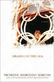 Draining the Sea by Micheline Aharonian Marcom