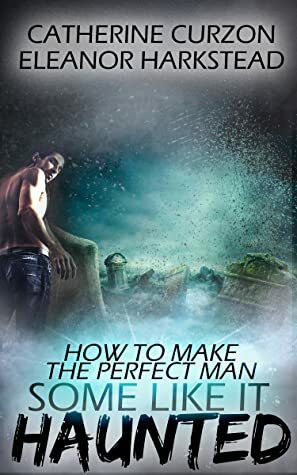 How to Make the Perfect Man by Eleanor Harkstead, Catherine Curzon