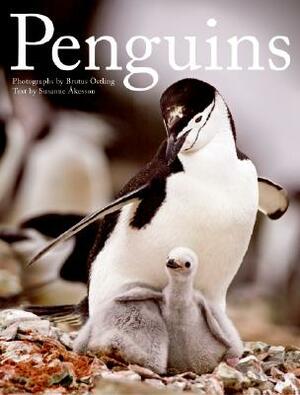 Penguins by Susanne Akesson, Brutus Ostling