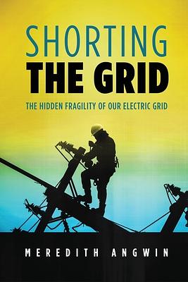 Shorting the Grid: The Hidden Fragility of Our Electric Grid by Meredith Angwin