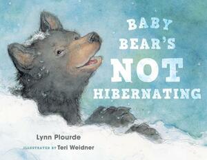 Baby Bear's Not Hibernating by Lynn Plourde