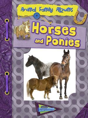 Horses and Ponies by Paul Mason
