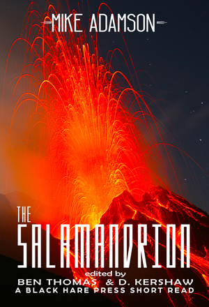 The Salamandrion by Mike Adamson
