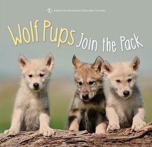 Wolf Pups Join the Pack by American Museum of Natural History