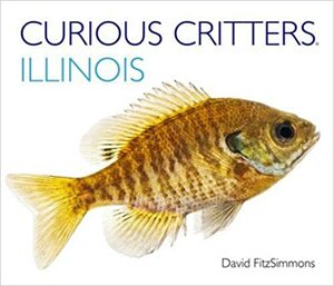 Curious Critters Illinois by David FitzSimmons